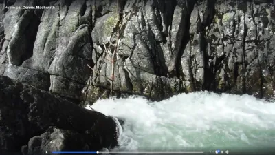 L'arbre qui bouche le rapide sur la droite (vidéo : Dennis Machwirth)